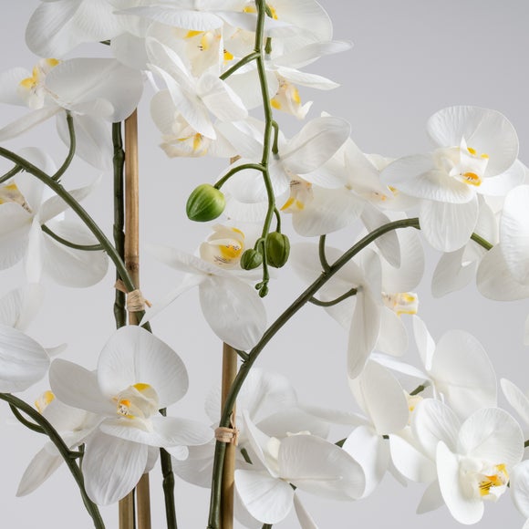 Artificial Real Touch Phalaenopsis Orchid in Stone Plant Pot