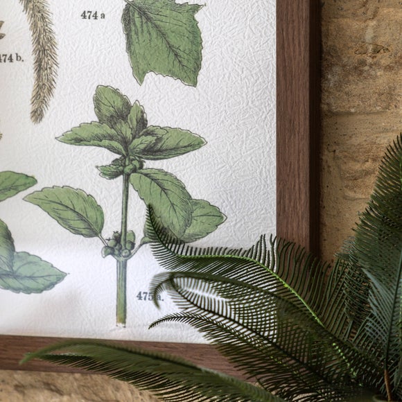 Cedar & Sage Set of 2 Foliage Study Framed Prints