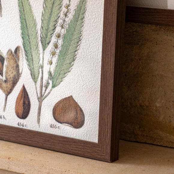 Cedar & Sage Set of 2 Foliage Study Framed Prints