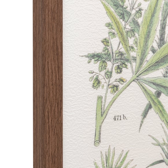 Cedar & Sage Set of 2 Foliage Study Framed Prints