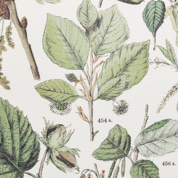 Cedar & Sage Set of 2 Foliage Study Framed Prints