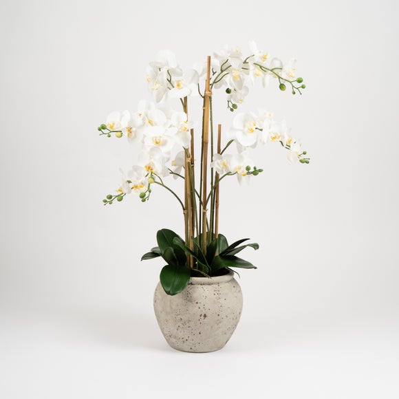 Artificial Oversized Orchid in Rustic Pot